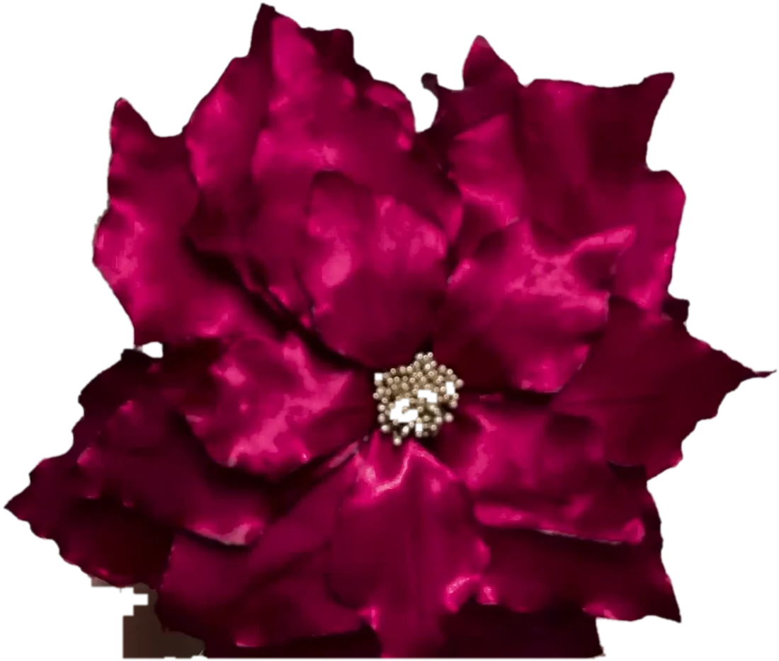 A large satin poinsettia