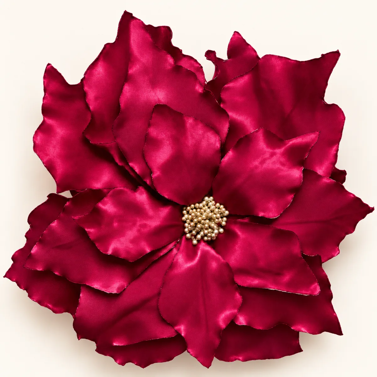Poinsettia ready for sale